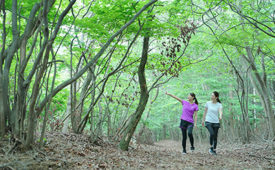 ウォーキングコース 