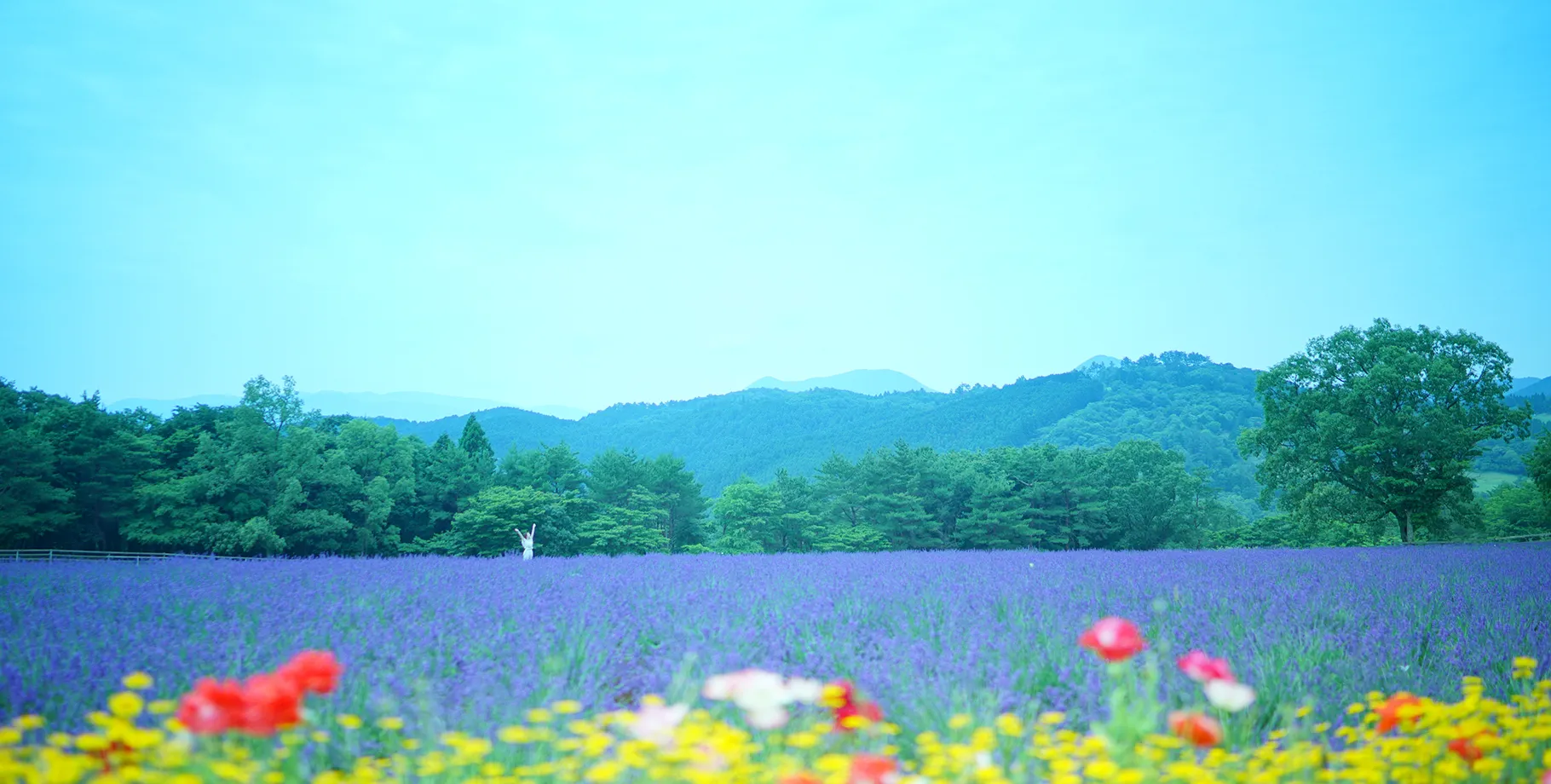 花畑の中を歩く女性。背景には緑豊かな山々と家が見える、自然に囲まれた風景。