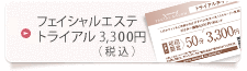 フェイシャルエステ\トライアル3,300円（税込）