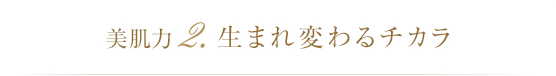 美肌力 2.生まれ変わるチカラ