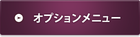 オプションメニューの料金